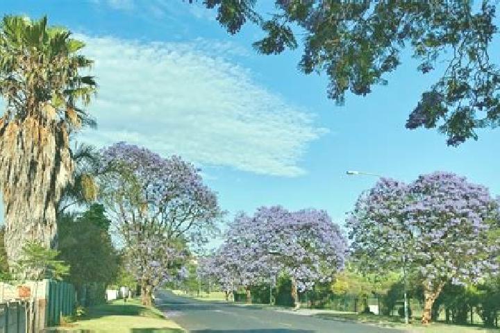 Nova, 22 — Escort in Bald Hills, Australia