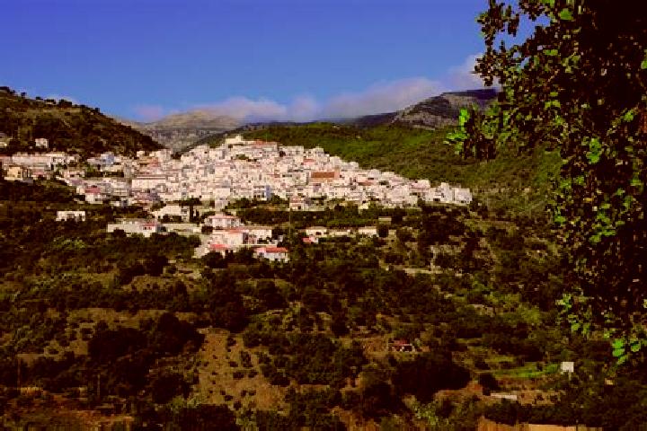 Nova, 22 — Escort in Canillas de Albaida, Spain
