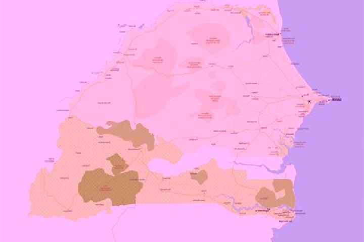 Nova, 22 — Escort in Pata, Senegal