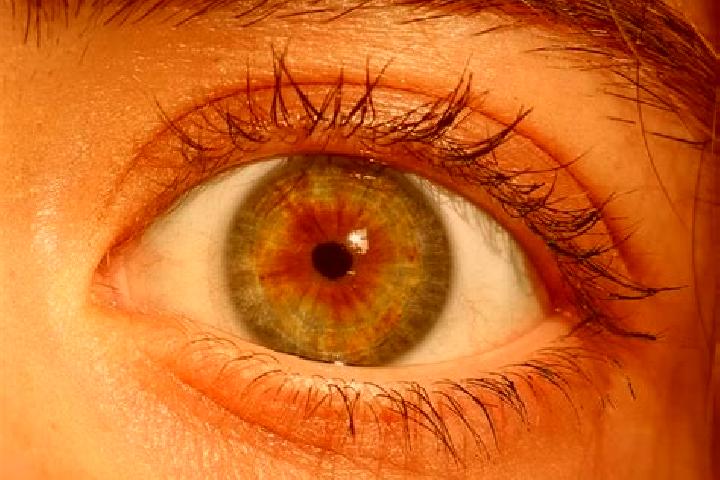 Nova, 23, a red hazel-eyed european companion based in Perchtoldsdorf. Offering Travel Companion, OWO, CIM, Fetish. Available for incall and outcall, day and...
