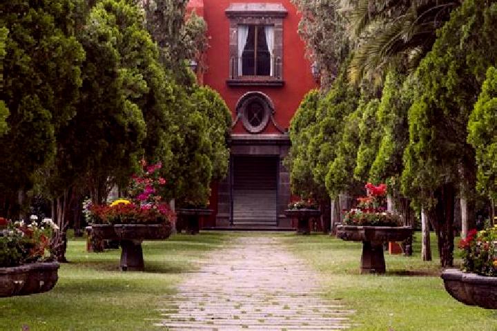Nova, 23 — Escort in Hacienda San Pedro, Mexico