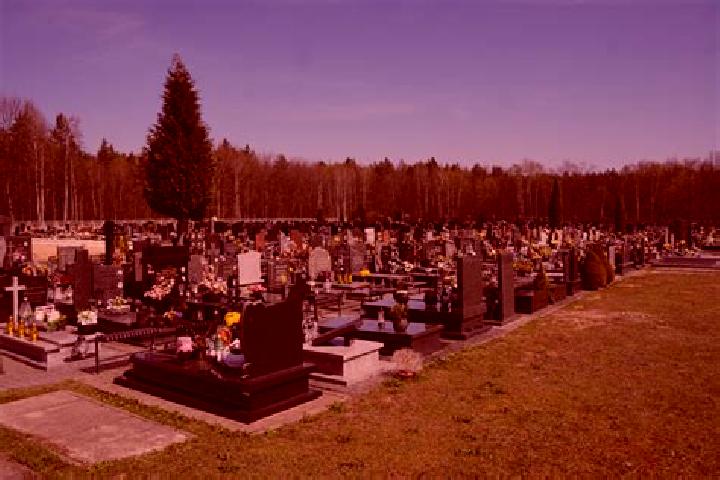 Nova, 24 — Escort in Czyzew, Poland