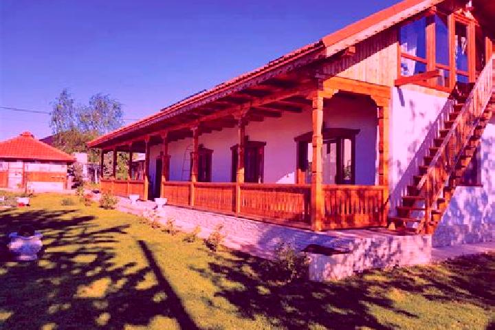 Nova, 25 — Escort in Rogojel, Romania