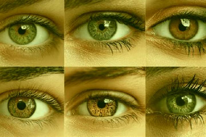 Nova, 26, a red hazel-eyed caribbean companion based in Bifeng. Offering Striptease, Prostate Massage, Girlfriend Experience, Roleplay, Fetish. Available for...