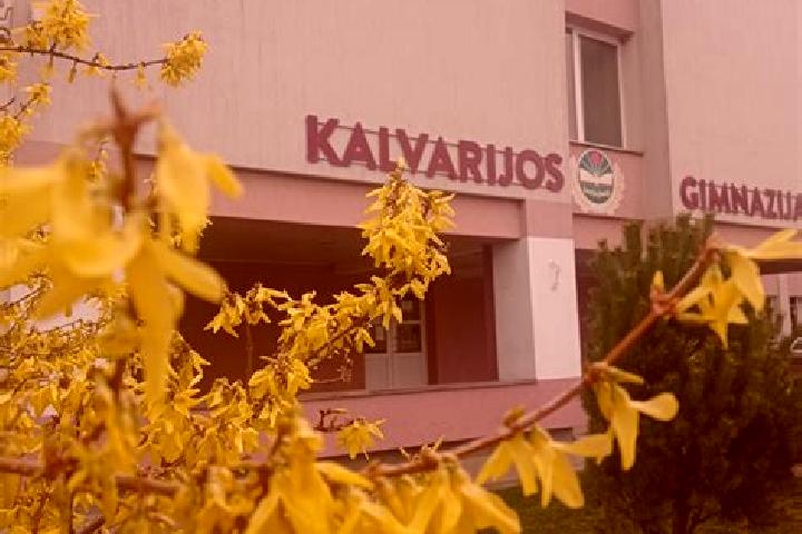 Nova, 26 — Escort in Kalvarija, Lithuania