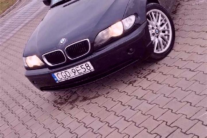 Nova, 26 — Escort in Zbojno, Poland