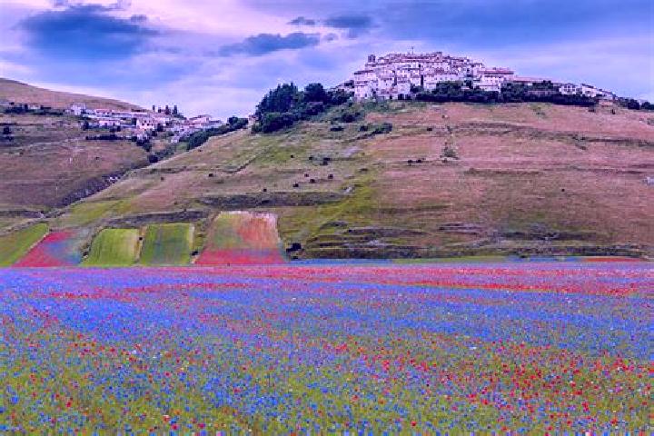 Nova, 27 — Escort in Castelluccio, Italy