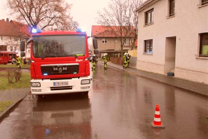 Nova, 27 — Escort in Molschleben, Germany