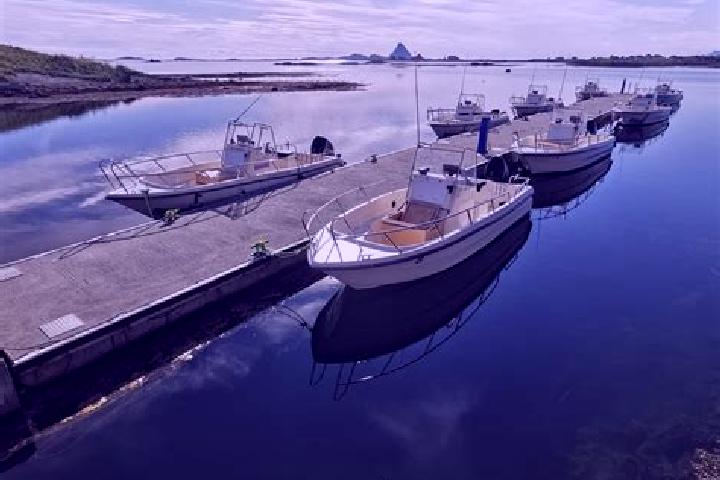 Nova, 27 — Escort in Rost, Norway