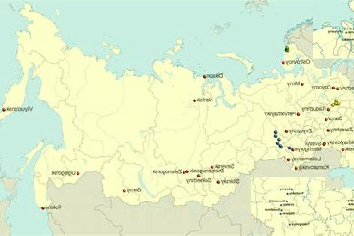 Nova, 27 — Escort in Shalakusha, Russia