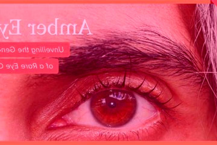 Nova, 28, a red amber-eyed mixed companion based in Mazouna. Offering GFE, OWO, BDSM, Tantra. Available for incall and outcall, overnight bookings available.