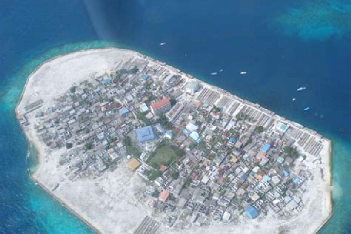 Nova, 28 — Escort in Fonadhoo, Maldives
