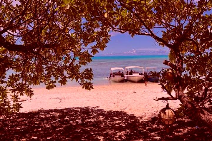 Nova, 28 — Escort in Kayangel, Palau