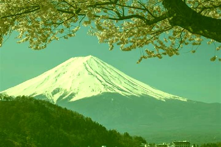 Nova, 29 — Escort in Fuji, Japan