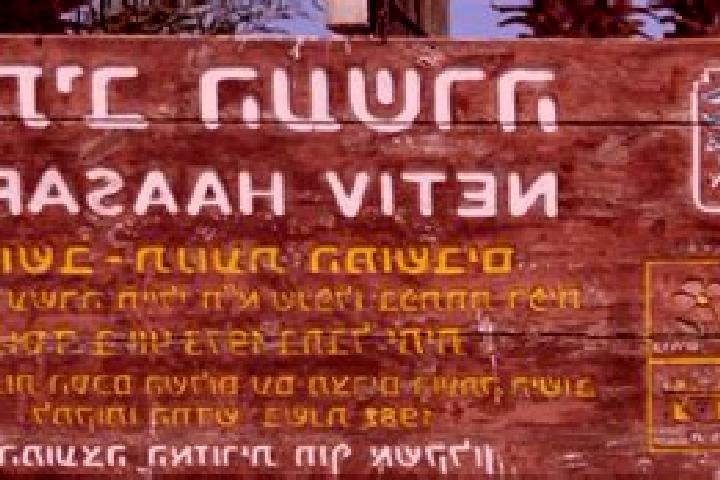 Nova, 29 — Escort in Netiv Ha Asara, Israel