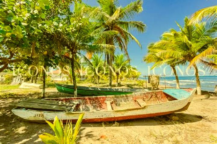 Nova, 30 — Escort in Baracoa, Honduras