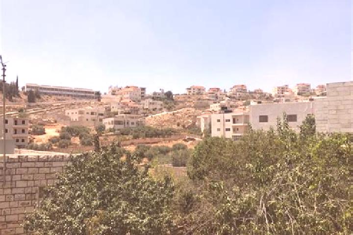 Nova, 30 — Escort in Rammun, Palestine