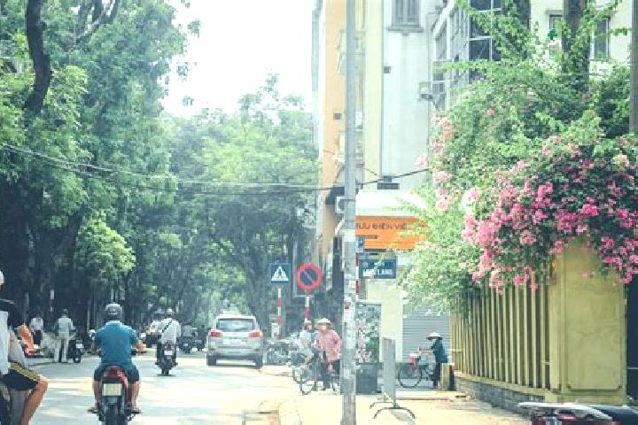 Nova, 31 — Escort in GJong Mo, Vietnam