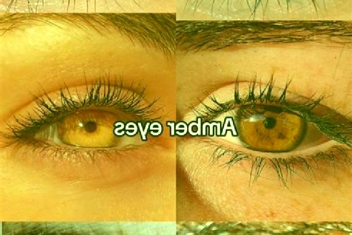 Nova, 32, a brunette amber-eyed slavic companion based in Rodrigo. Offering Massage, Deep French Kissing, Dinner Date. Available for incall and outcall, day ...