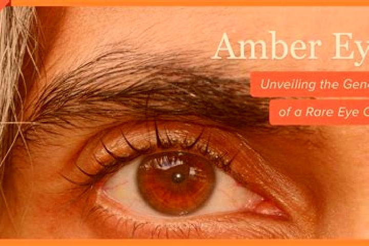 Nova, 34, a black amber-eyed indian companion based in Hotarele. Offering OWO, CIM, GFE. Available for incall and outcall, day and evening dates.