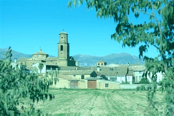 Nova, 34 — Escort in Alcala del Obispo, Spain