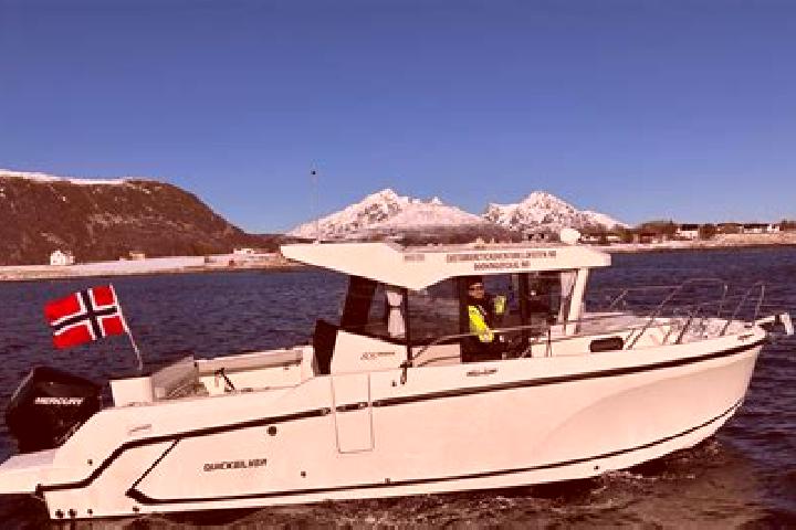 Nova, 34 — Escort in Vintere, Romania