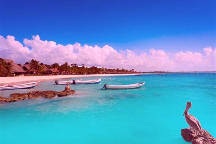Nova, 35 — Escort in Akumal, Mexico