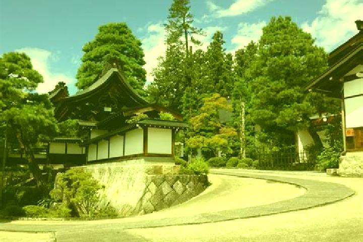 Nova, 35 — Escort in Takamatsu, Japan