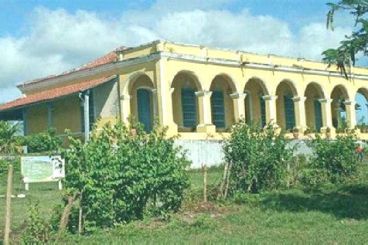 Nova, 36 — Escort in Guaimaro, Cuba