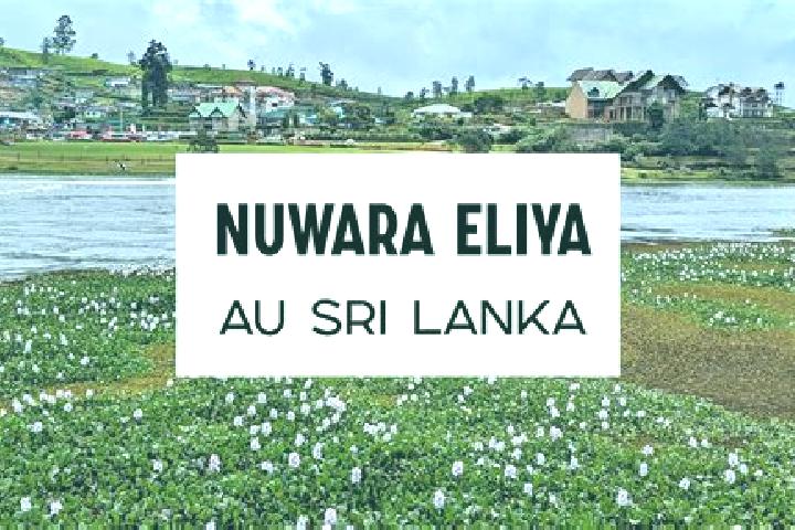 Nova, 37 — Escort in Nuwara Eliya, Sri Lanka