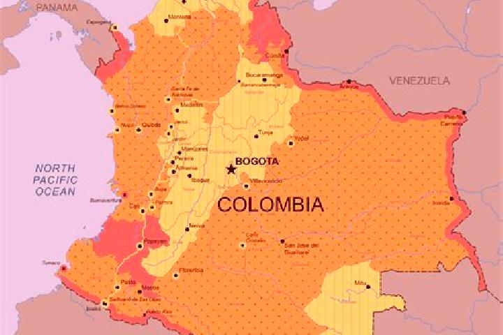 Nova, 37 — Escort in Palestina, Colombia