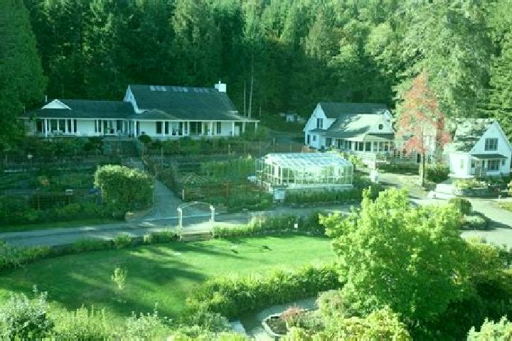 Nova, 38 — Escort in Summit Hill, United States