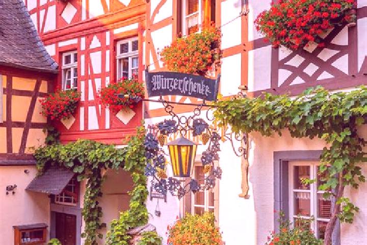 Olivia, 20 — Escort in Munsterdorf, Germany