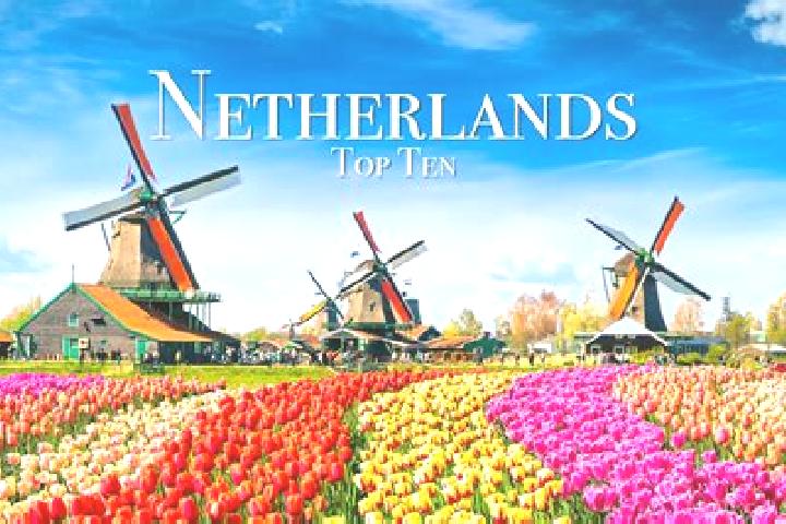 Olivia, 21 — Escort in Leek, Netherlands