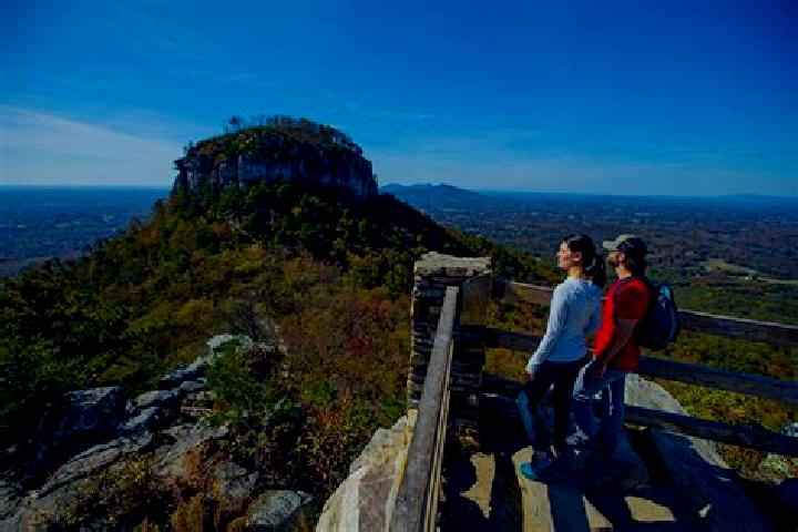 Olivia, 21 — Escort in Pilot Mountain, United States