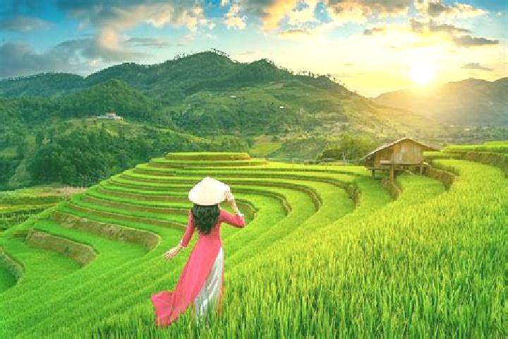 Olivia, 22 — Escort in Mu Cang Chai, Vietnam