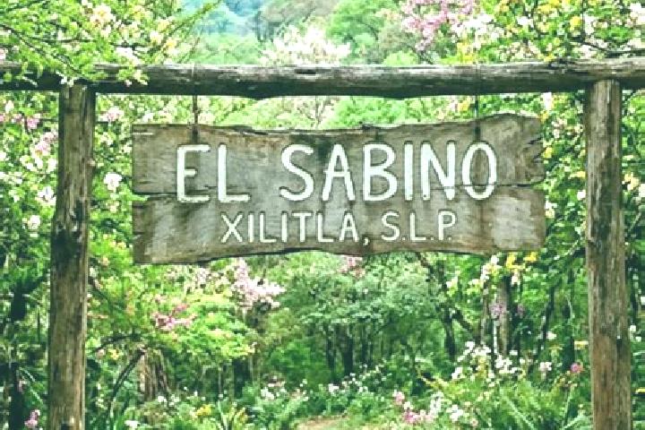 Olivia, 23 — Escort in Sabino Buenavista, Mexico