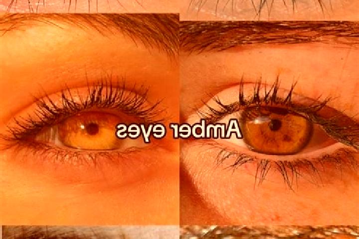 Olivia, 24, a brunette amber-eyed indian companion based in Chevagnes. Offering Girlfriend Experience, OWO, Overnight, Dinner Date. Available for incall and ...