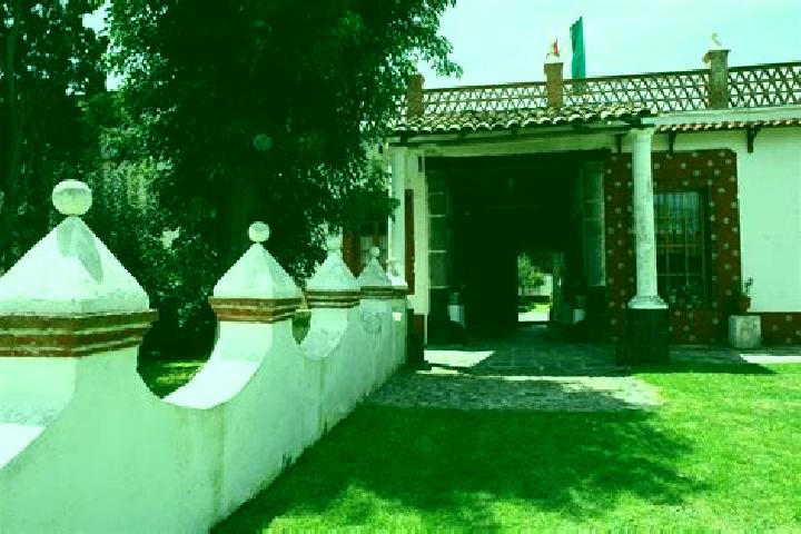 Olivia, 24 — Escort in Ex- Hacienda de Ocotza, Mexico