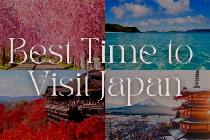 Olivia, 24 — Escort in Kasaishi, Japan