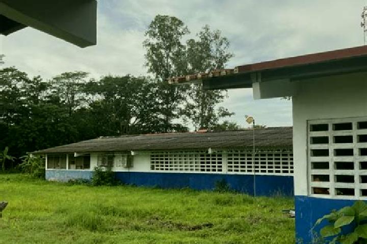 Olivia, 24 — Escort in Las Guabas, Panama