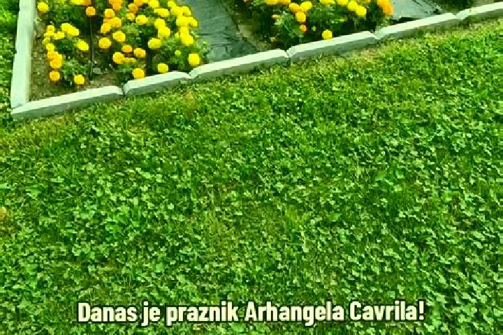 Olivia, 24 — Escort in Rakovica, Serbia