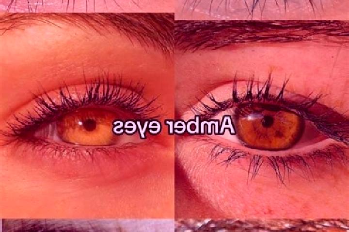 Olivia, 27, a brunette amber-eyed caucasian companion based in Charrais. Offering OWO, Duos, Roleplay. Available for incall and outcall, day and evening dates.