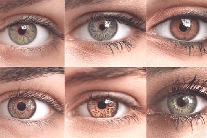 Olivia, 27, a red hazel-eyed caucasian companion based in Malanghero. Offering Tantra, Roleplay, Duos, Domination. Available for incall and outcall, overnigh...