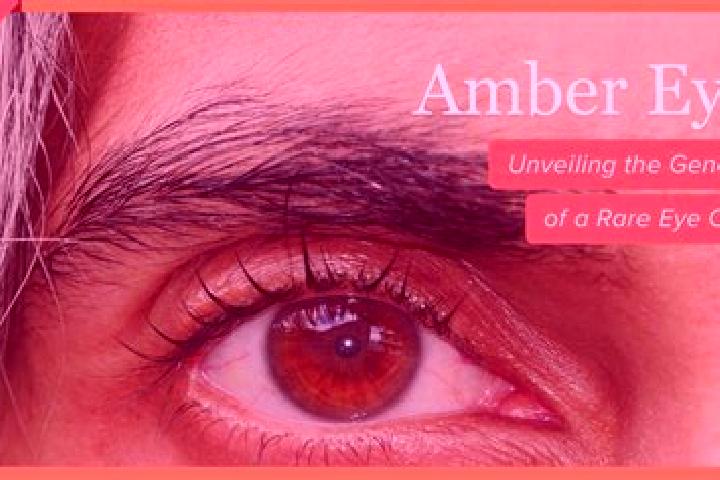 Olivia, 28, a red amber-eyed slavic companion based in Glempang Tengah. Offering Tantra, Striptease, Girlfriend Experience. Available for incall and outcall,...