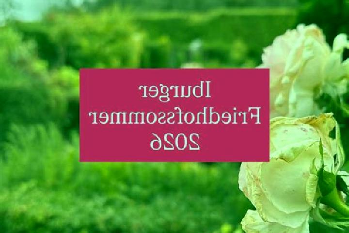Olivia, 28 — Escort in Bad Iburg, Germany