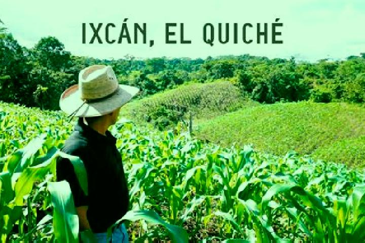 Olivia, 28 — Escort in Palpoala Ixcan, Mexico