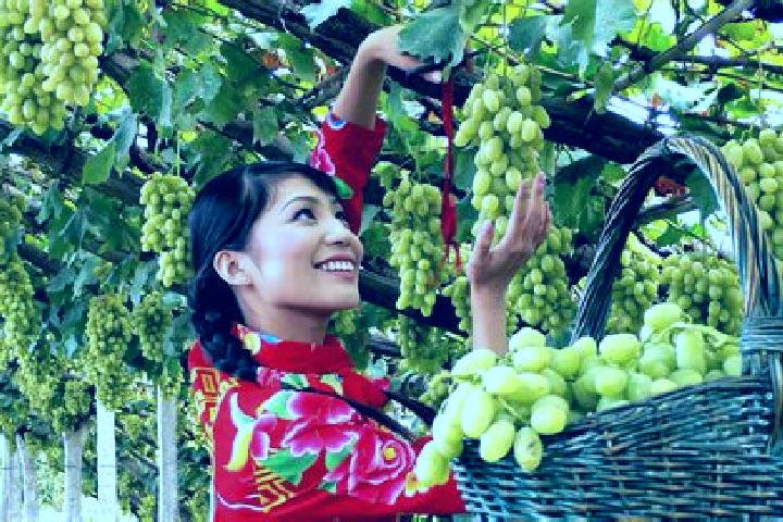 Olivia, 28 — Escort in Xuanhua, China