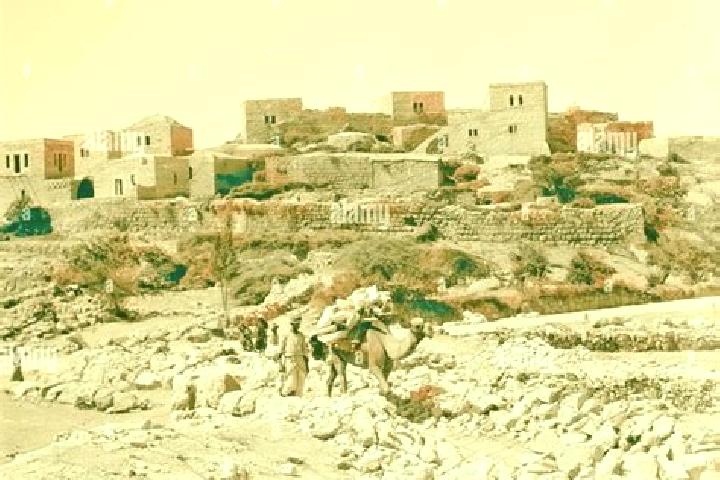 Olivia, 29 — Escort in Bayt Ur al Fawqa, Palestine