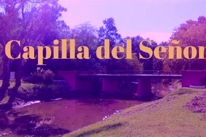 Olivia, 31 — Escort in Capilla del Senor, Argentina